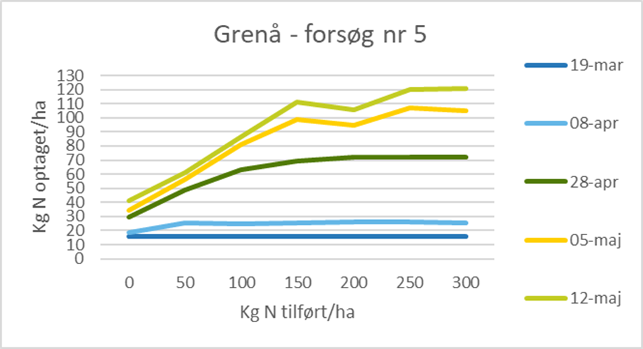 grenå