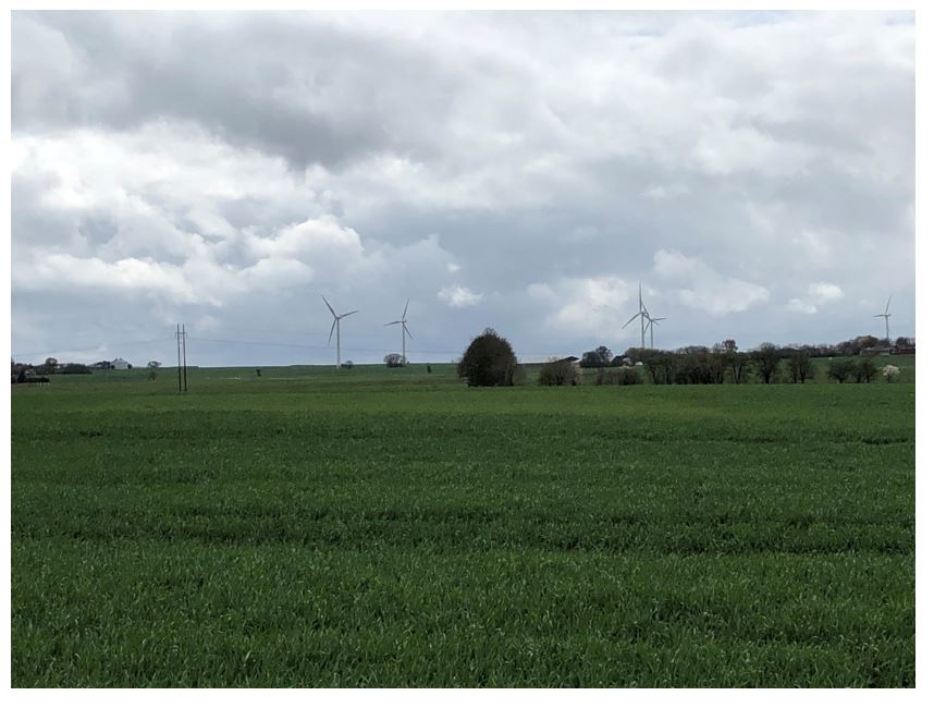 Fårvang Rug Nulparcel 2.JPG