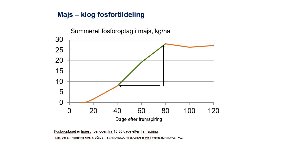 Majs_klog_P-tildeling.JPG
