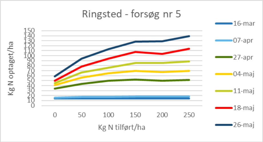 VKST - Ringsted 