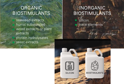 Uorganisk biostimulat