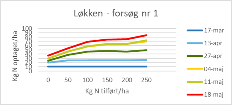 Marken er kommet i gang 