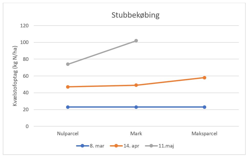 Stubbekøbing 1