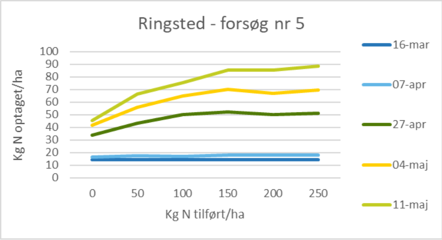VKST - Ringsted 