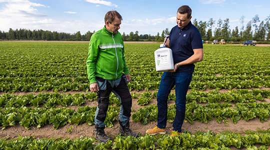 Yara_LeipaLeveammaksi_3T_16 (540x300px).jpg