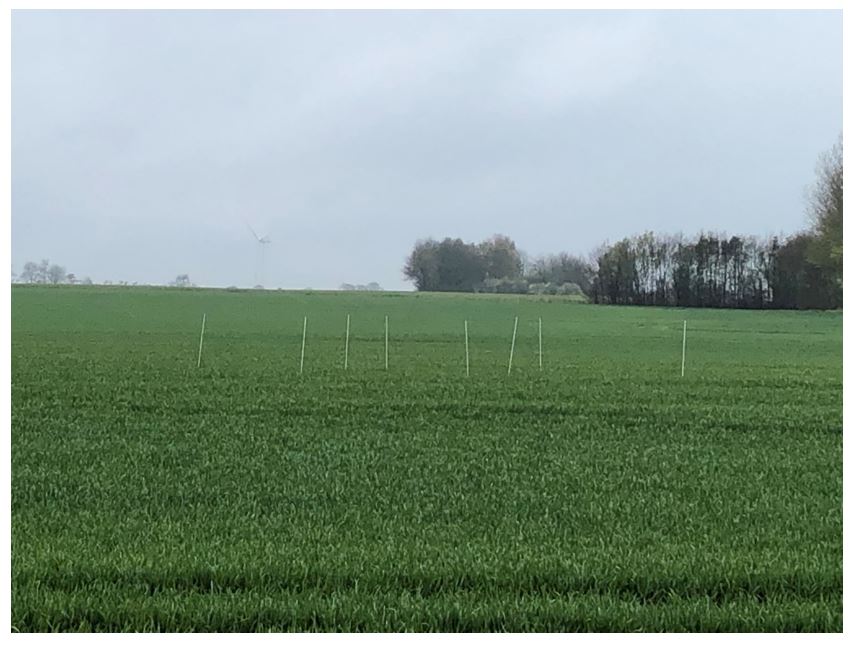 Gjerlev 2 nulparcel 2.JPG