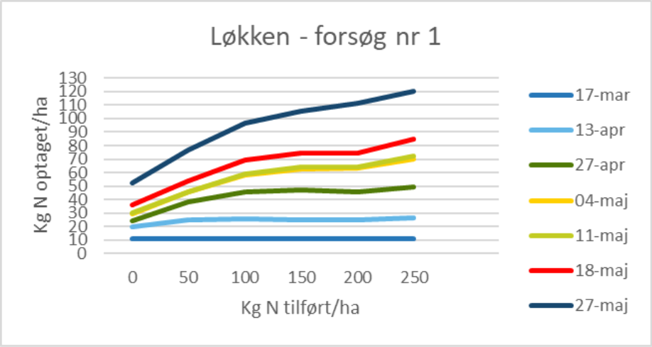 Agillix - L&oslash;kken 