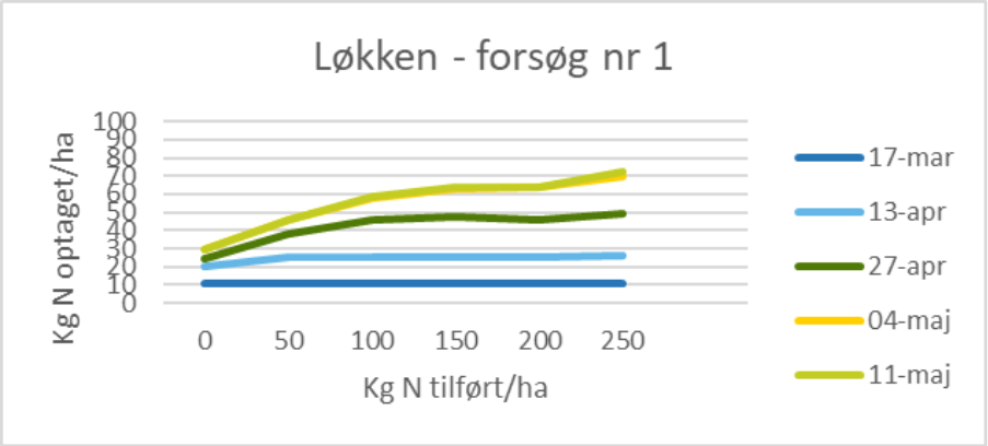 Agillix - L&oslash;kken 