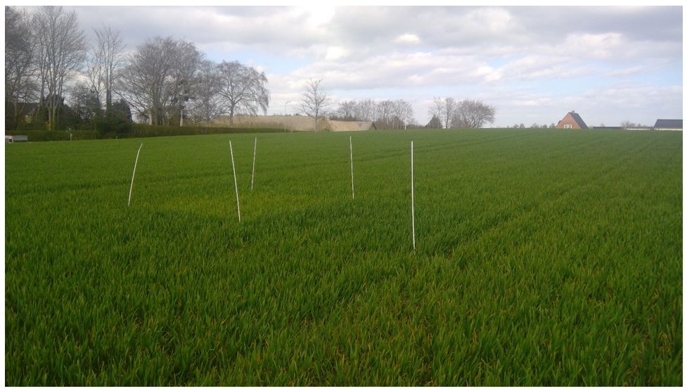 Bogense 1 Nulparcel.JPG