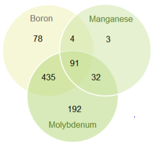 Resultater af Canola Bio