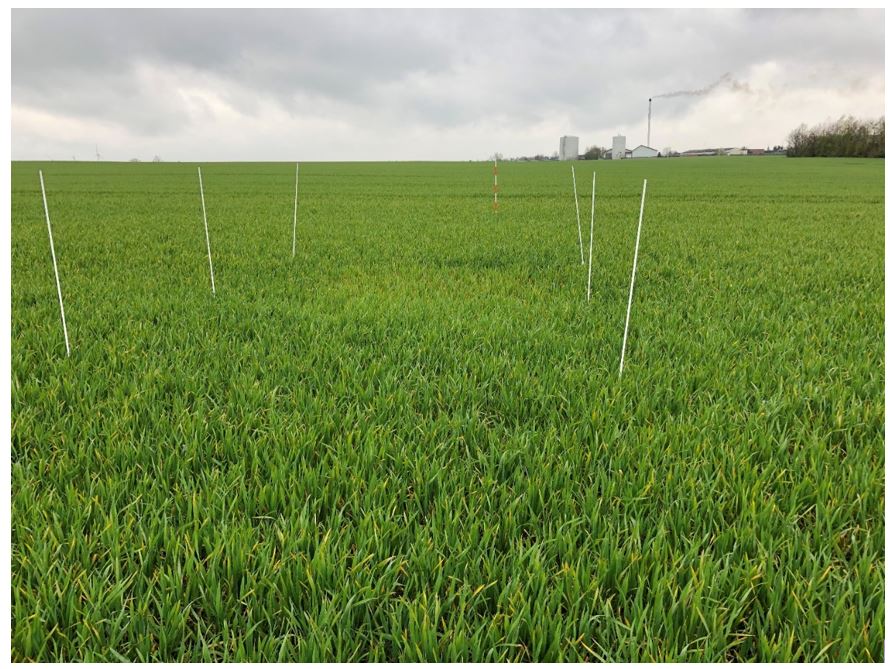 Gjerlev 1 Nulparcel 2.JPG