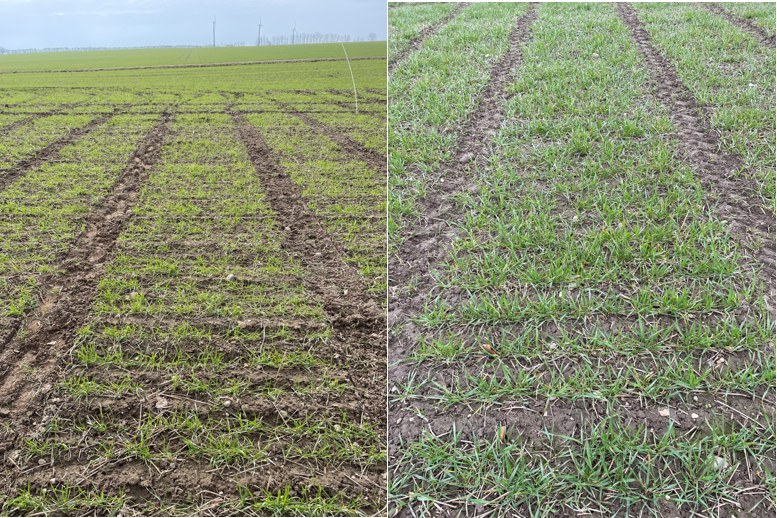 af g&oslash;dede parceller