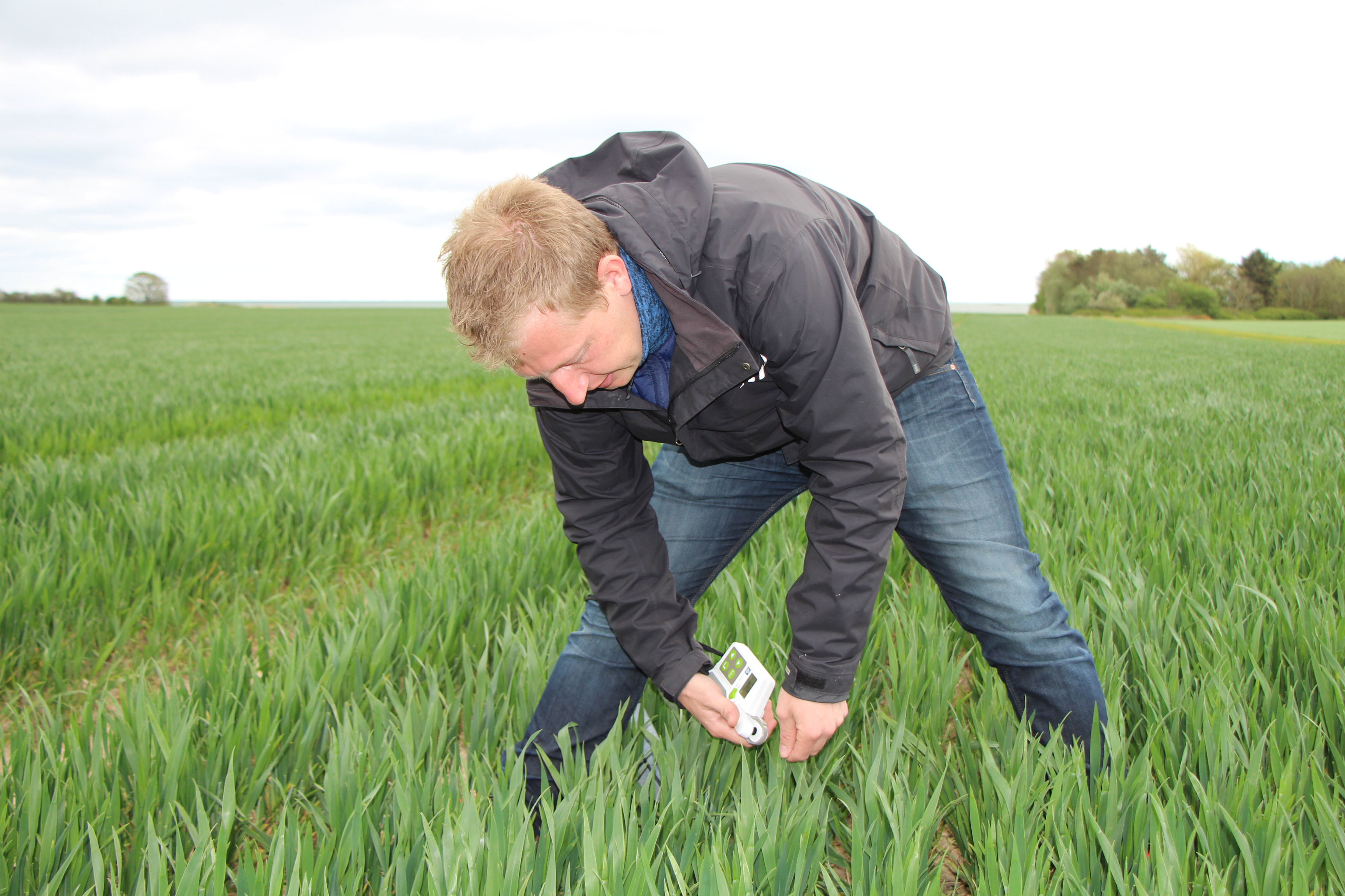 Daniel RK N-Tester i marken.JPG