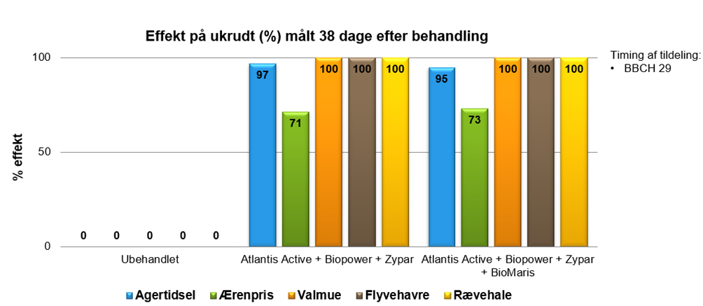 Effekten overfor 5 ukrudtsarter 