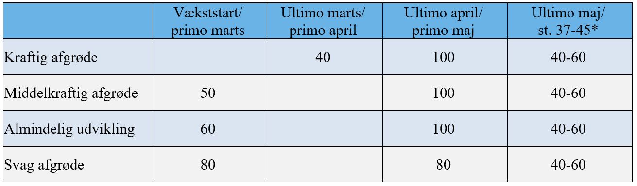 N-strategi vinterhvede.JPG