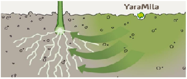 Sikrer mangan fra start