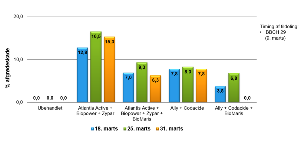 Afgr&oslash;deskaden halveres ved tils&aelig;tning af YaraAmplix BIOMARIS 