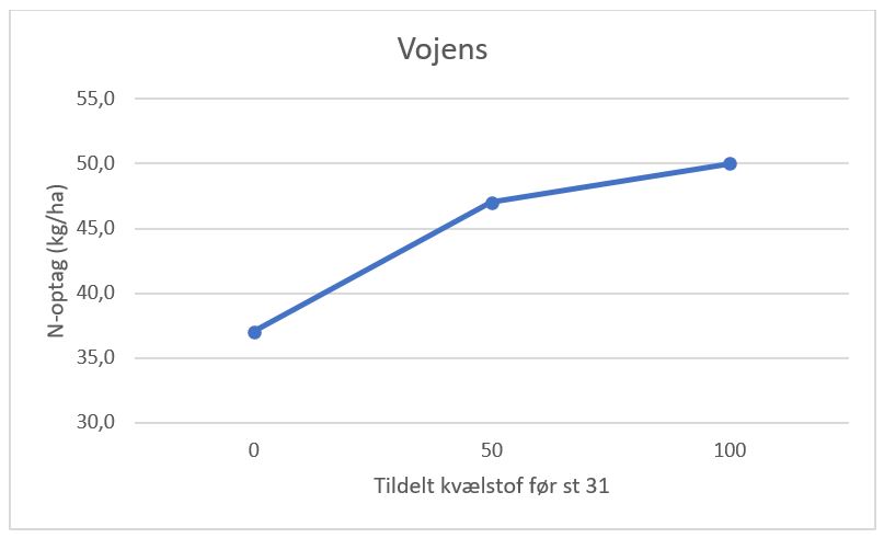 Vojens før st 31.JPG