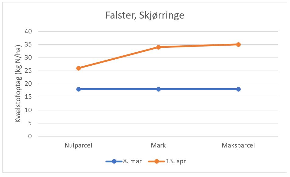 Skjørringe 1