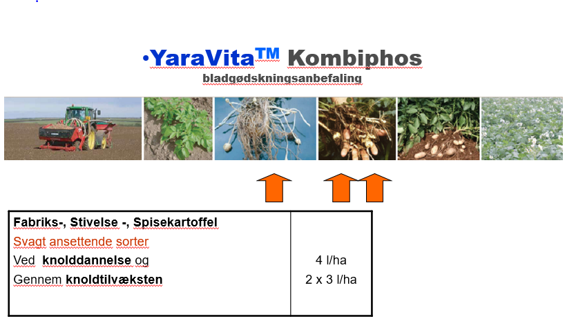 Figur 1. Gødningsanbefaling med fokus på øget knoldsætning 