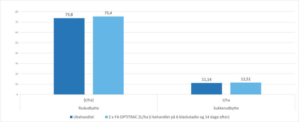 Behandling med 2x2 l/ha YaraAmplix Optitrac gav merudbytter p&aring; 3-4 % i sukkerroer
