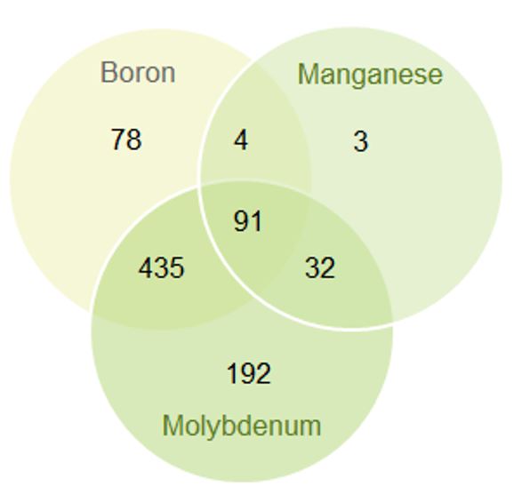 Næringstofmangel 1981 stk planteanalyser.JPG