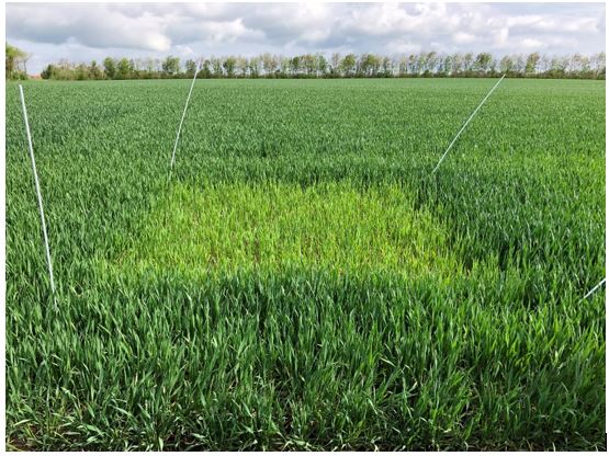 Struer 2 (Syd) nulparcel 3.JPG