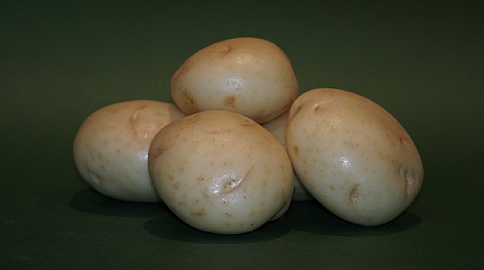 Hvide kartofler