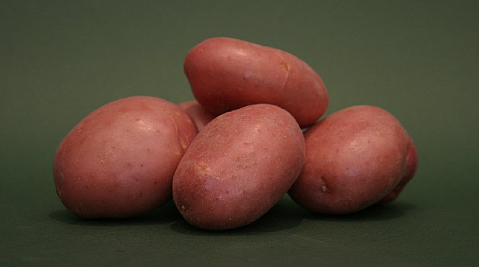 Røde kartofler